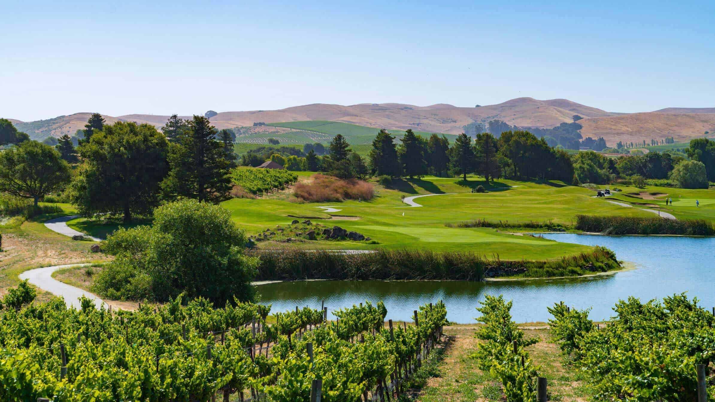 Napa Valley Eagles Golf Club grapevines and course long view