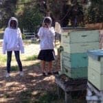 Marshall's Farm honey house hives in American Canyon, Napa Valley